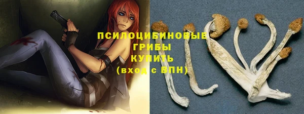 ECSTASY Елизово