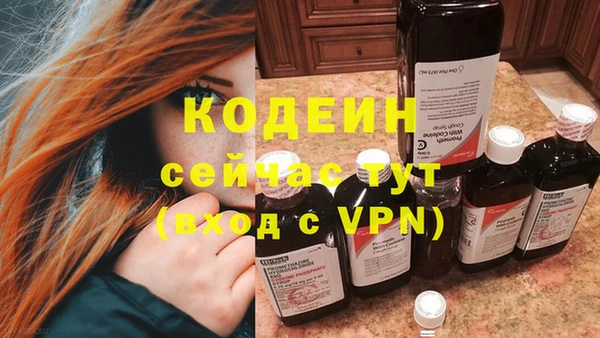 молекула духа Елабуга