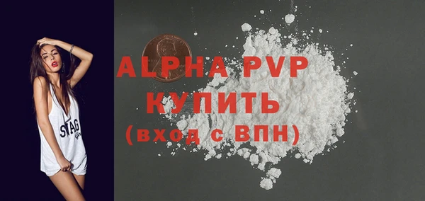 молекула духа Елабуга