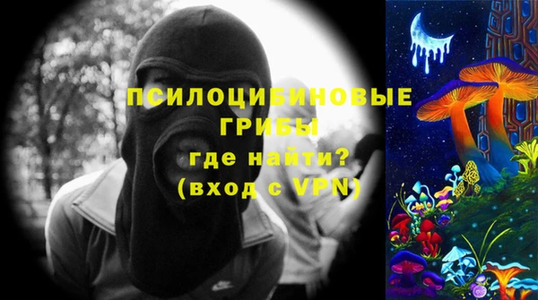 ECSTASY Елизово