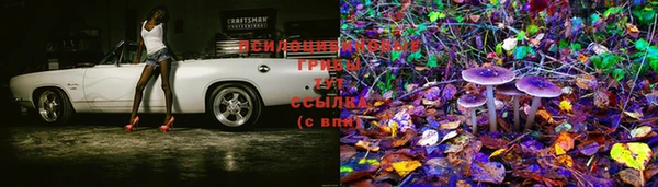 ECSTASY Елизово