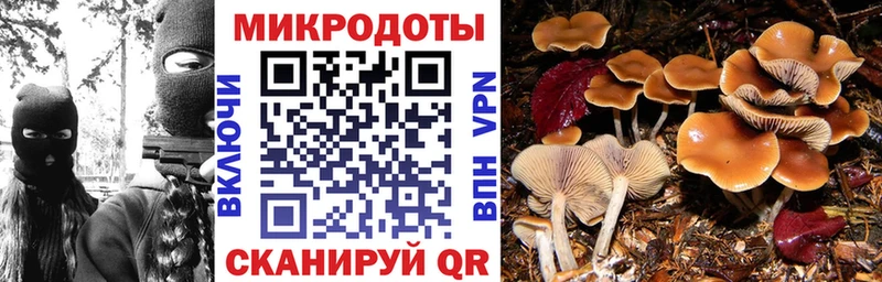 Галлюциногенные грибы прущие грибы  Жирновск 